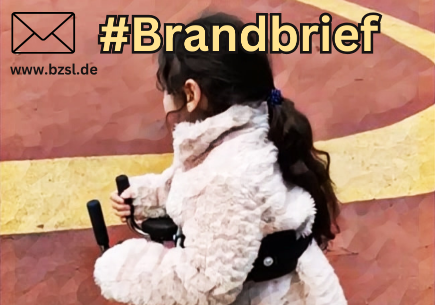 Read more about the article Brandbrief: Wir fordern Schutz vor Diskriminierung für behinderte Menschen in der Migrationspolitik